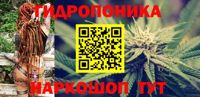 СК Краснодар